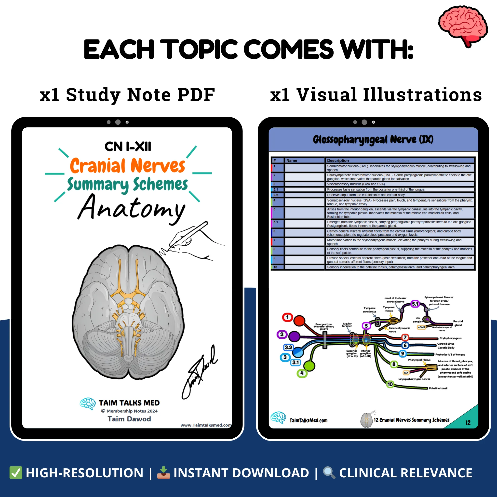 【貴重•美品】A Manual of Cranial Technique 貴重•美品】A Manual of Cranial Technique
