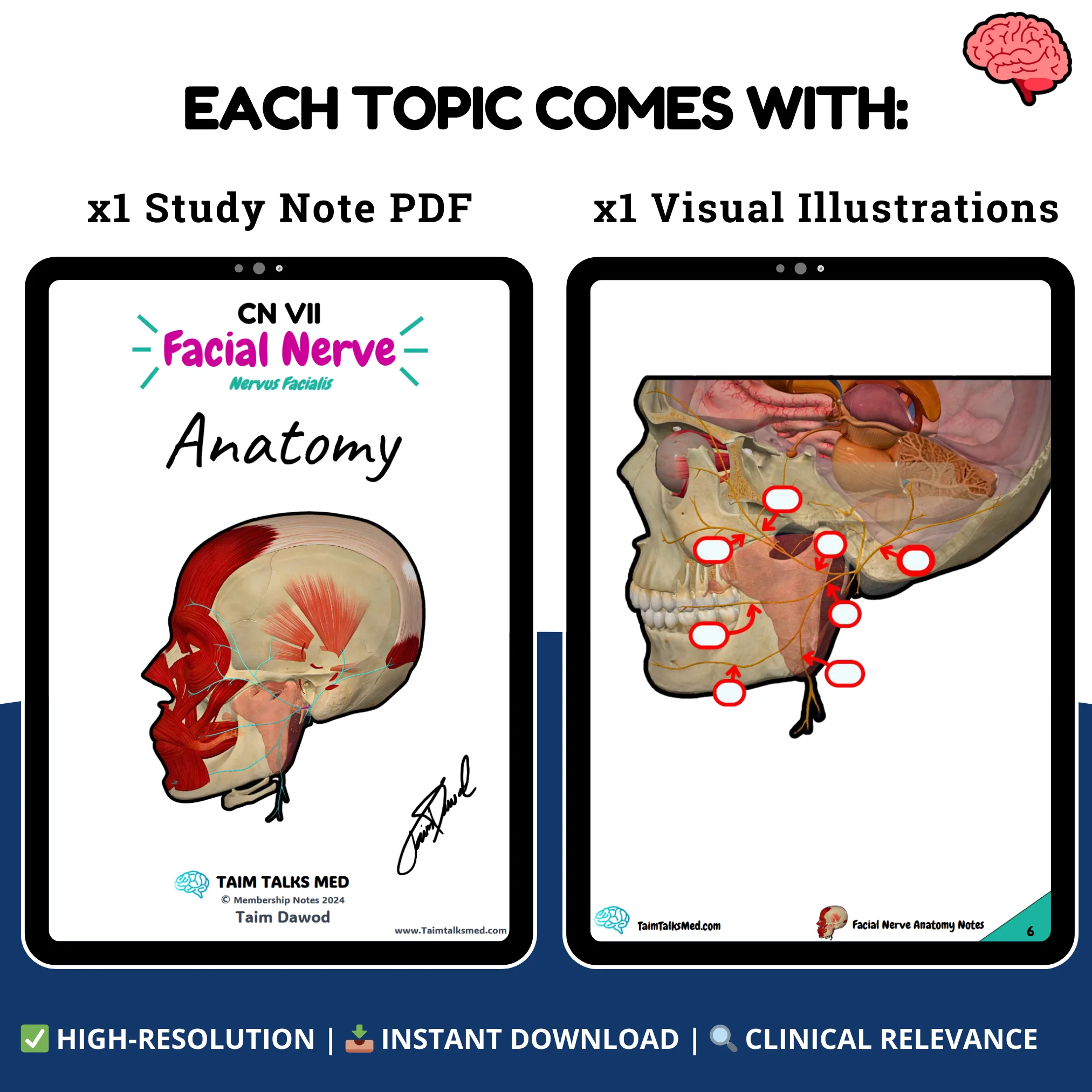【貴重•美品】A Manual of Cranial Technique 貴重•美品】A Manual of Cranial Technique