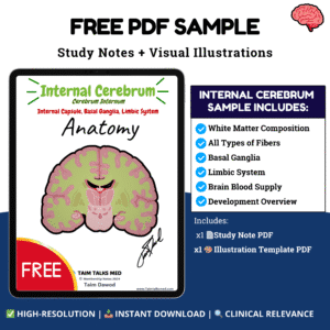 Internal Brain – FREE