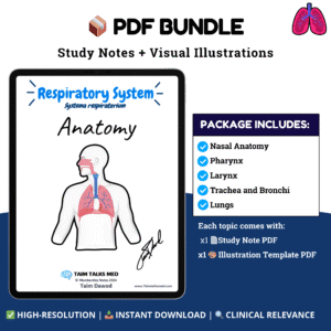 Respiratory System