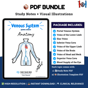 Venous System