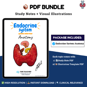 Endocrine System