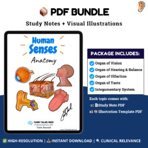 Special Senses & Integumentary System
