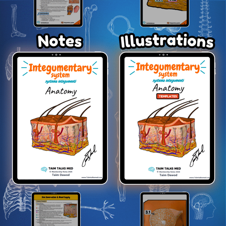 Integumentary System - TaimTalksMed - Medicine Lectures, Notes ...