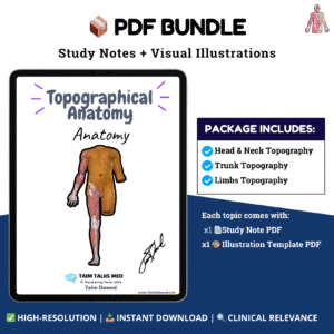 Topographical Anatomy